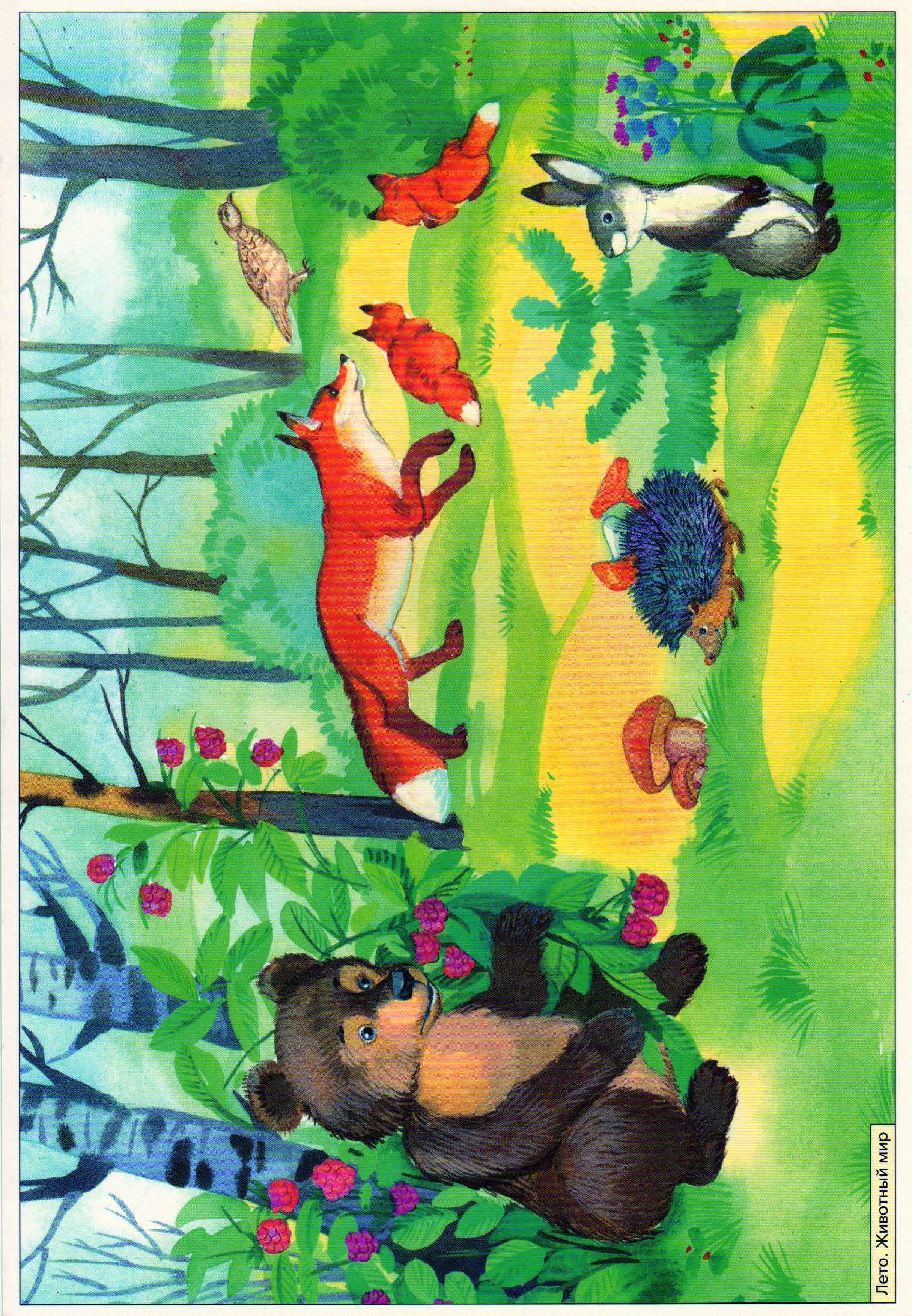 Лесные животные для детского сада