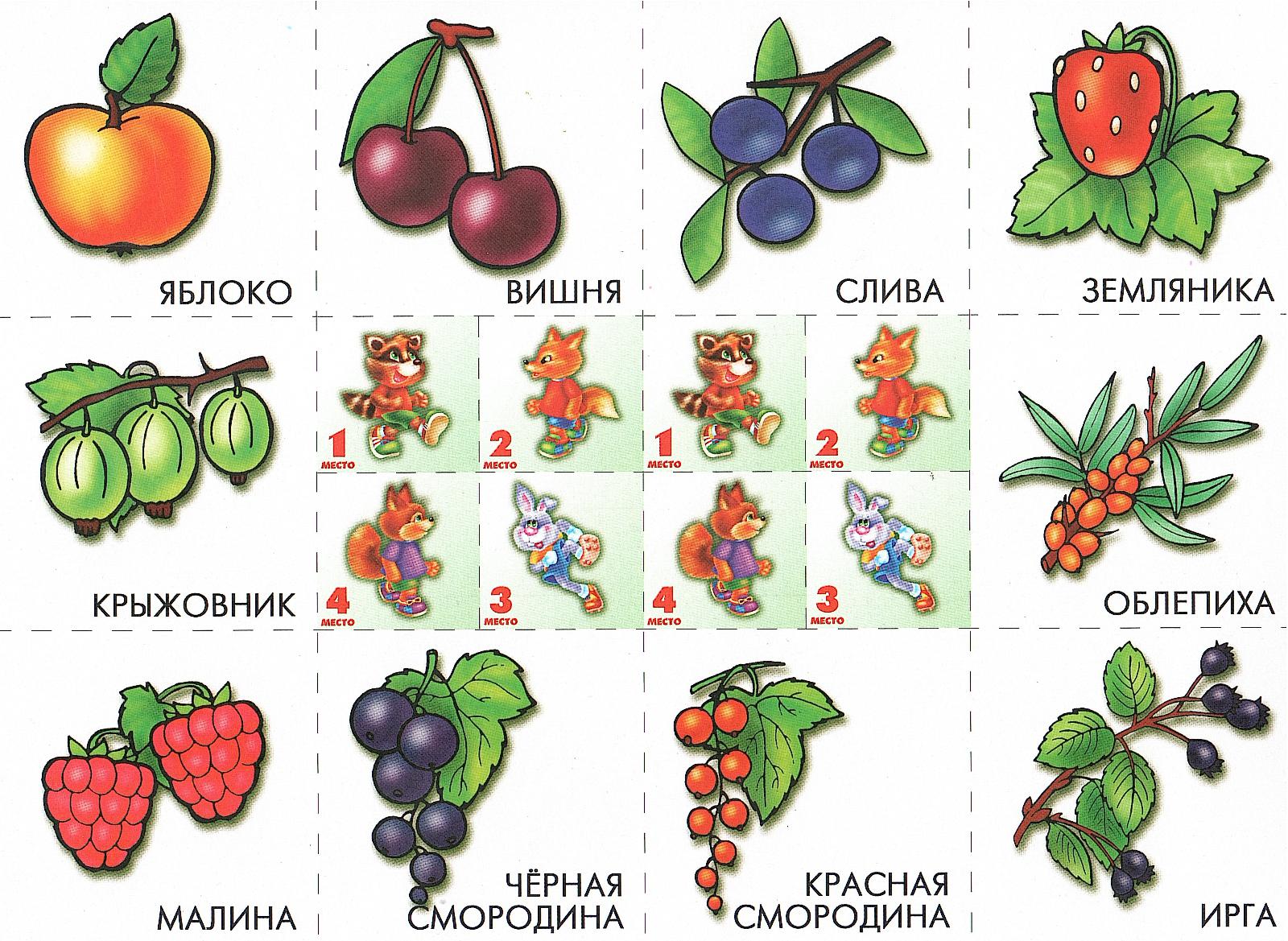 ягоды картинки для детей с названиями карточки
