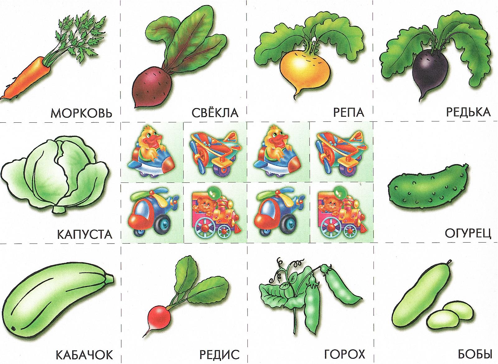 семена овощей картинки для детей с названиями
