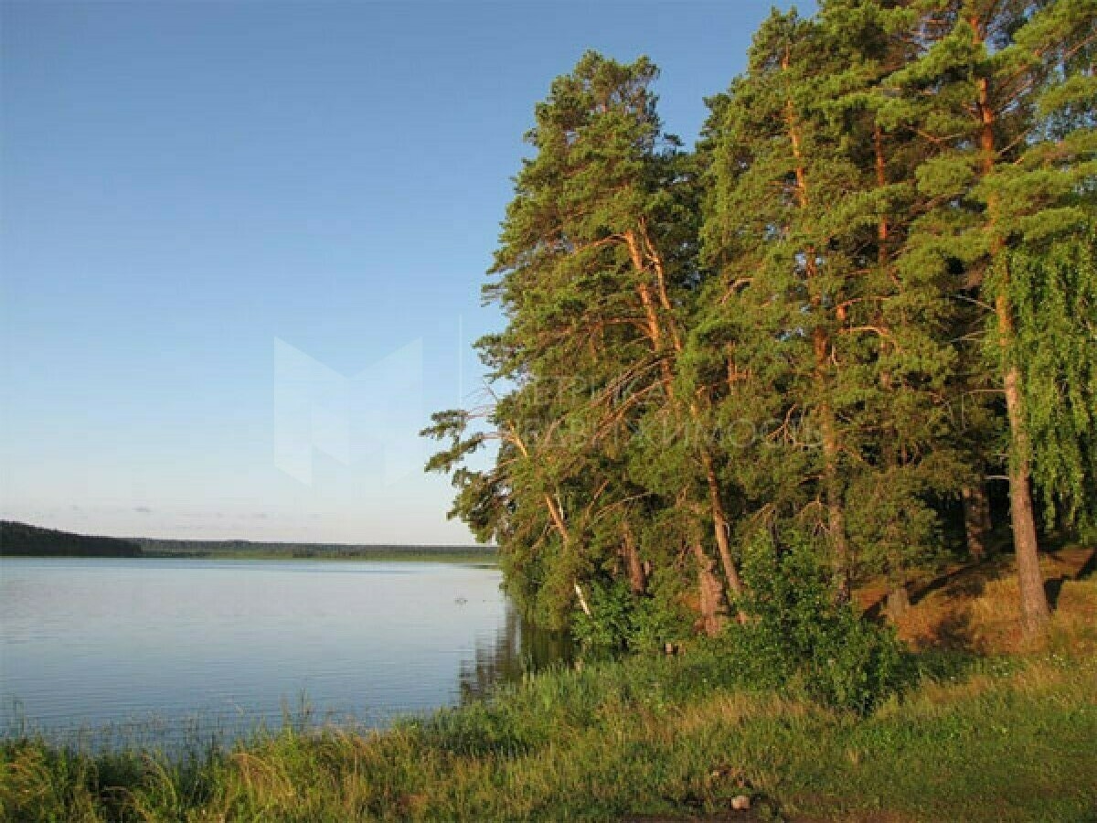 Национальный парк Свердловской области Припышминские боры