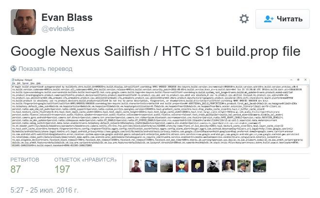 Nexus Sailfish