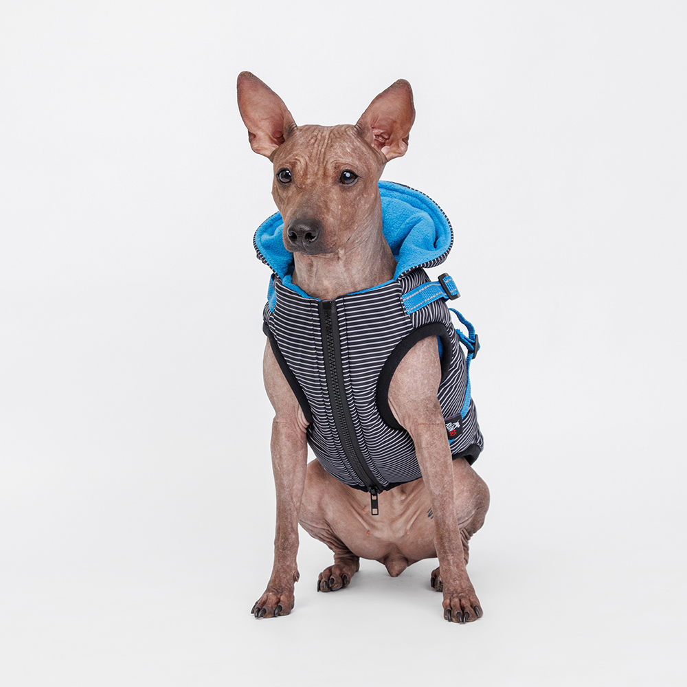 Rungo Попона теплая со шлейкой для собак, , черная, Черный
Rungo Попона теплая со шлейкой для собак, , черная, Черный