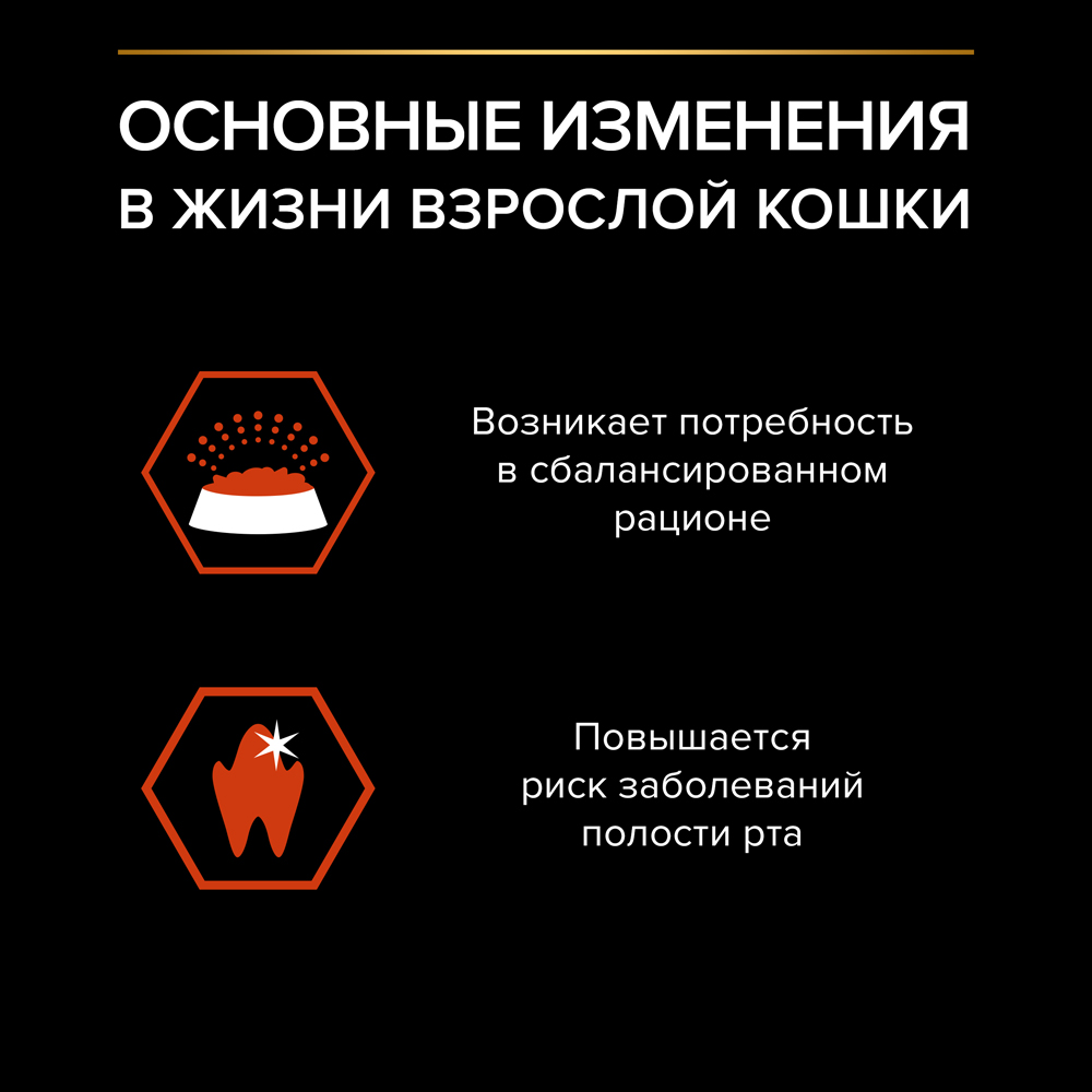 ProPlan Vital Functions Сухой корм для взрослых кошек, с высоким содержанием лосося, 10 кг
ProPlan Vital Functions Сухой корм для взрослых кошек, с высоким содержанием лосося, 10 кг