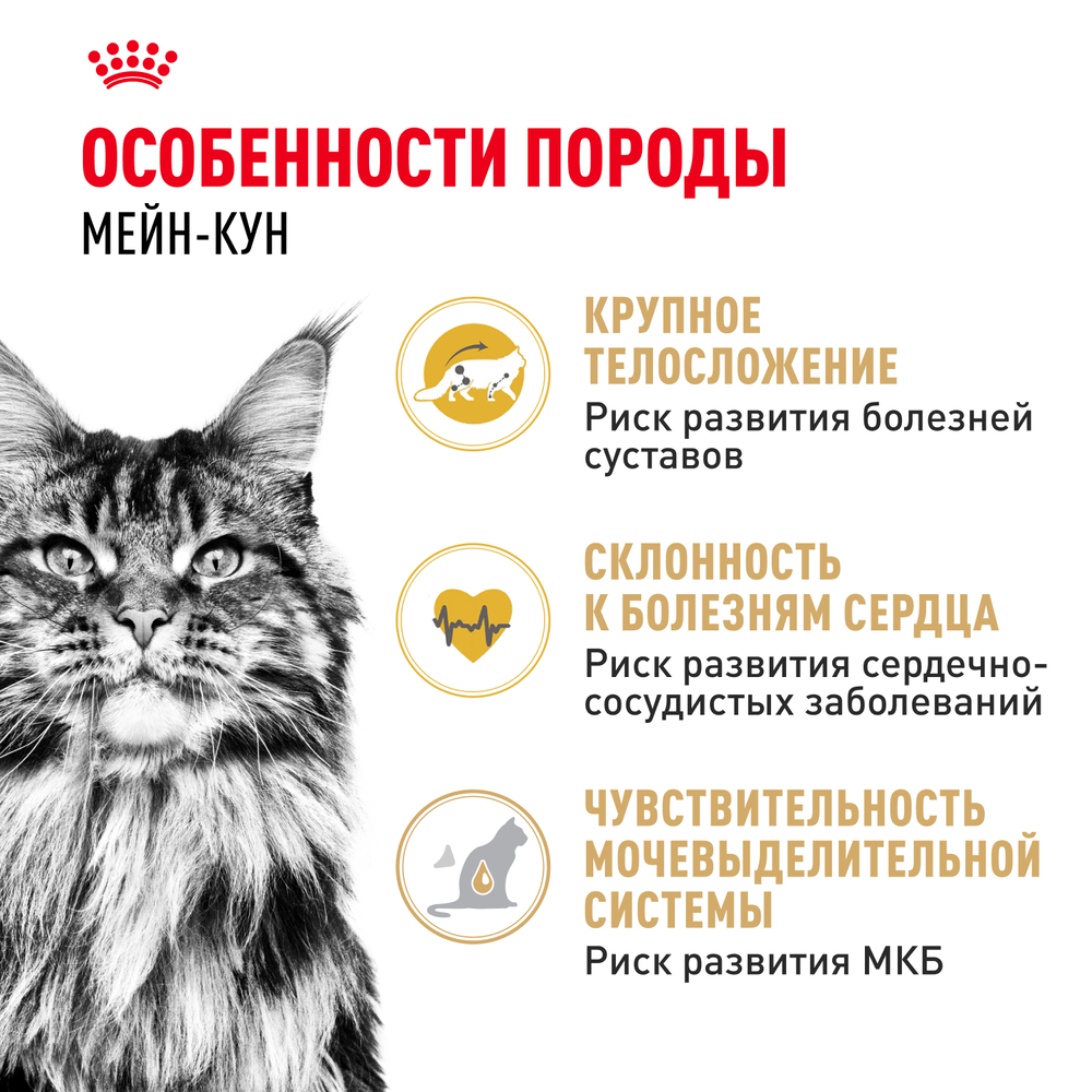 Royal Canin Maine Coon Adult Сухой корм для взрослых кошек породы мейн-кун, 2 кг
Royal Canin Maine Coon Adult Сухой корм для взрослых кошек породы мейн-кун, 2 кг