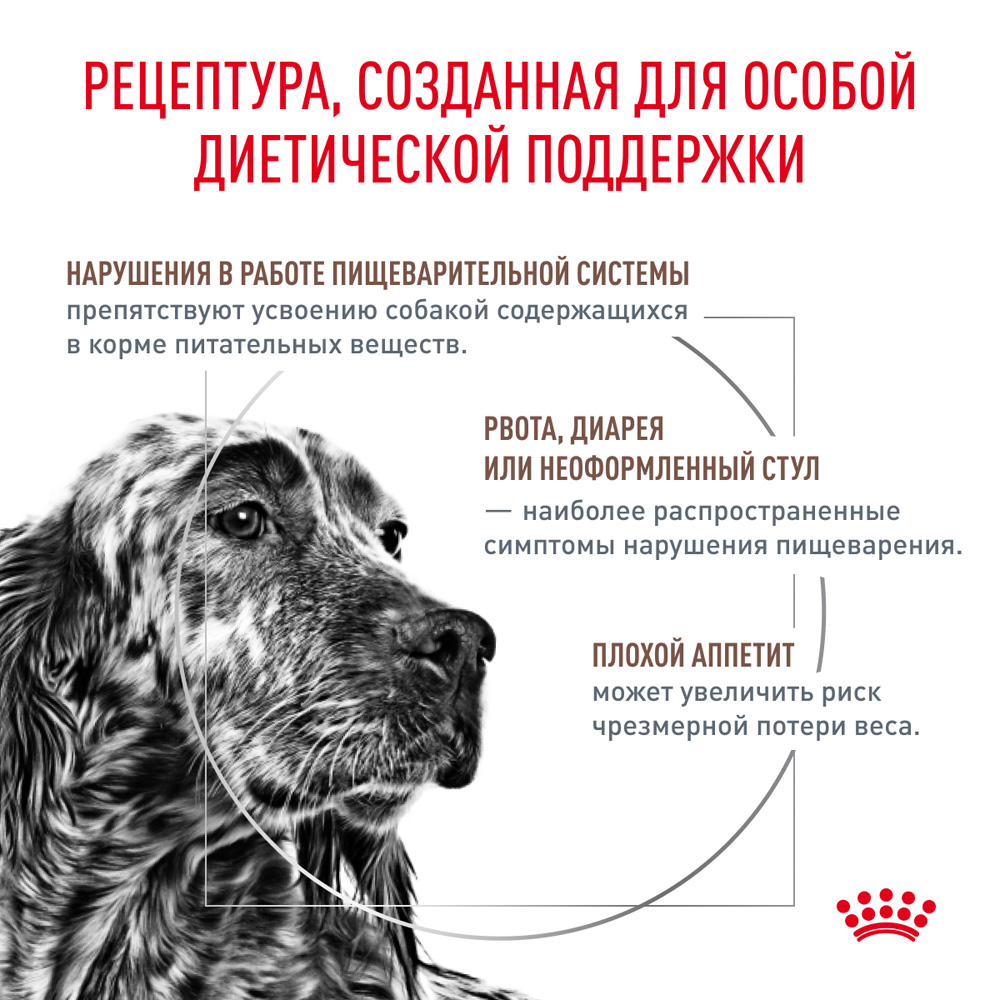 Royal Canin Gastrointestinal GI25 Сухой корм для собак при нарушении пищеварения, 2 кг
Royal Canin Gastrointestinal GI25 Сухой корм для собак при нарушении пищеварения, 2 кг