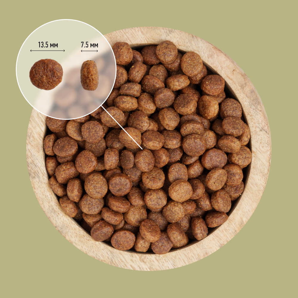 Dog & Dog Wild Regional Forest Сухой корм для собак, с кабаном, 2 кг
Dog & Dog Wild Regional Forest Сухой корм для собак, с кабаном, 2 кг