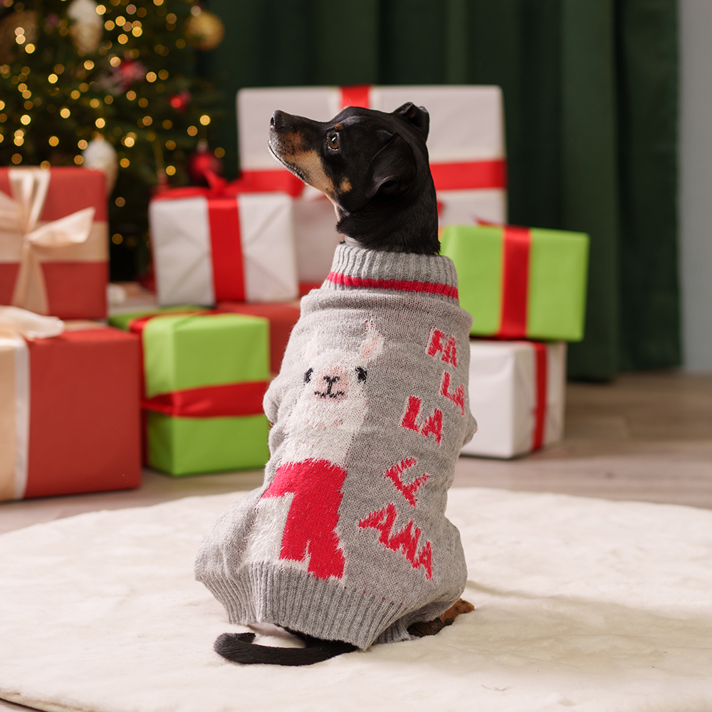 Petmax Свитер с ламой для кошек и собак, , серый
Petmax Свитер с ламой для кошек и собак, , серый