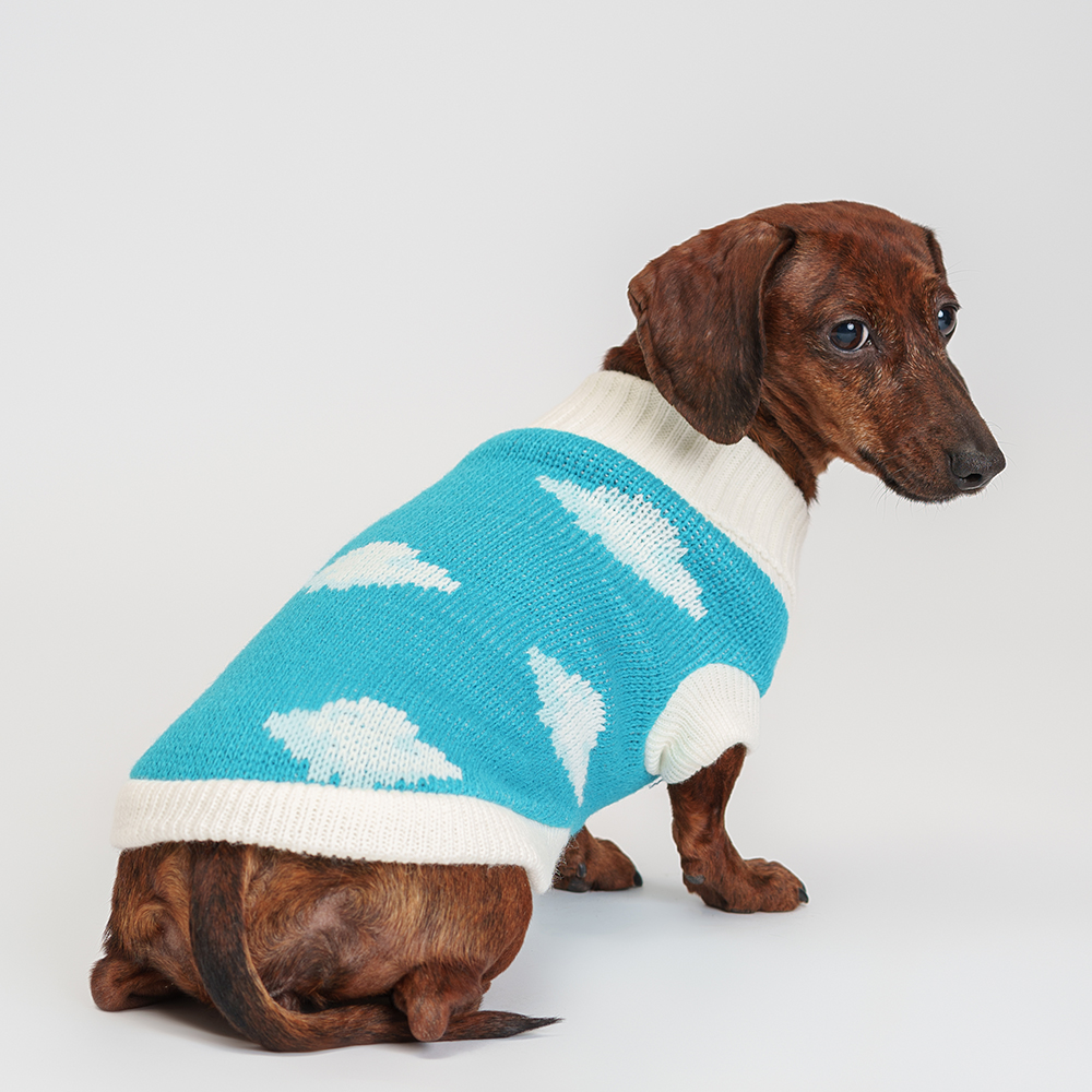 Petmax Свитер с облачками для кошек и собак, , голубой
Petmax Свитер с облачками для кошек и собак, , голубой