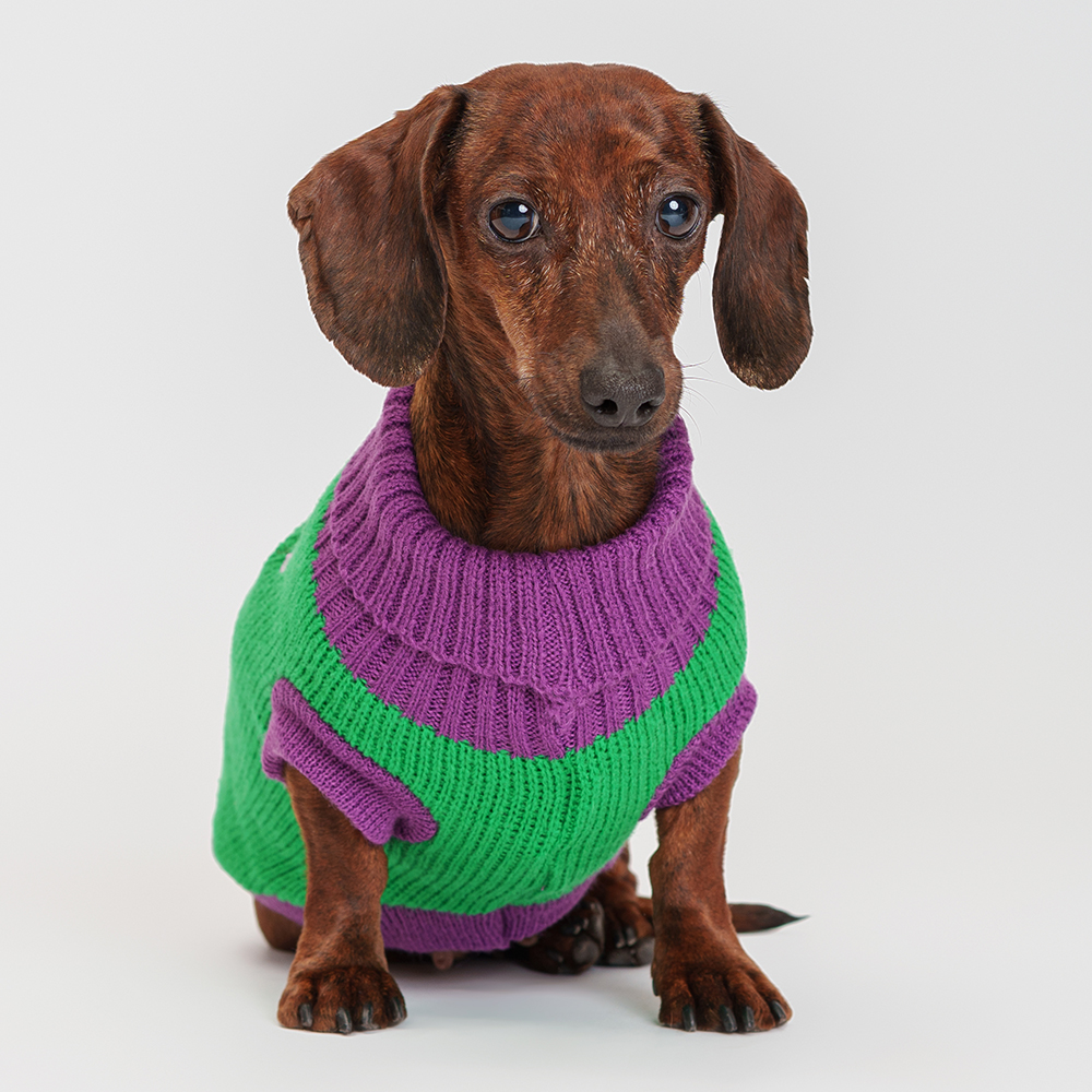 Petmax Свитер с шариками для кошек и собак, , салатовый
Petmax Свитер с шариками для кошек и собак, , салатовый