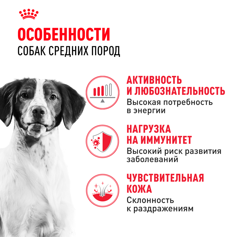 Royal Canin Medium Adult Сухой корм для собак средних размеров в возрасте от 12 месяцев до 7 лет, 15 кг
Royal Canin Medium Adult Сухой корм для собак средних размеров в возрасте от 12 месяцев до 7 лет, 15 кг