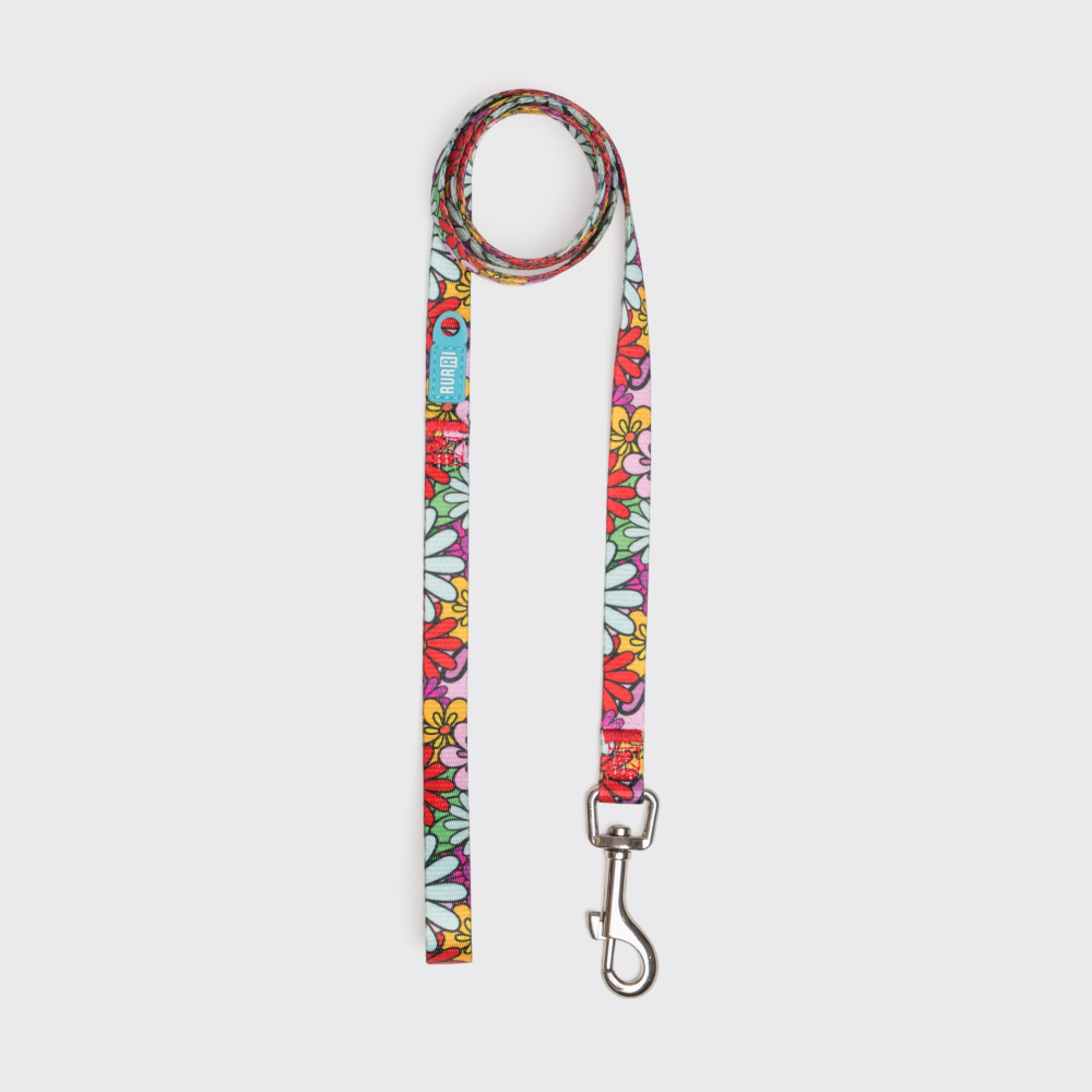 RURRI Поводок нейлоновый для кошек и собак Flower Power, 120 см, ширина ремешка 1, Голубой
RURRI Поводок нейлоновый для кошек и собак Flower Power, 120 см, ширина ремешка 1, Голубой