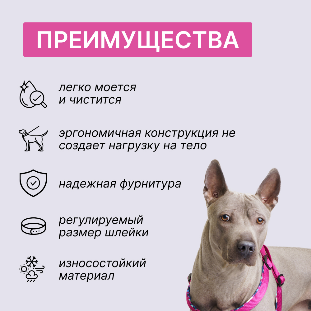 Rungo Шлейка для собак Step-in Soft, обхват груди , ширина ремешка 2 см, орхидея, Фиолетовый
Rungo Шлейка для собак Step-in Soft, обхват груди , ширина ремешка 2 см, орхидея, Фиолетовый