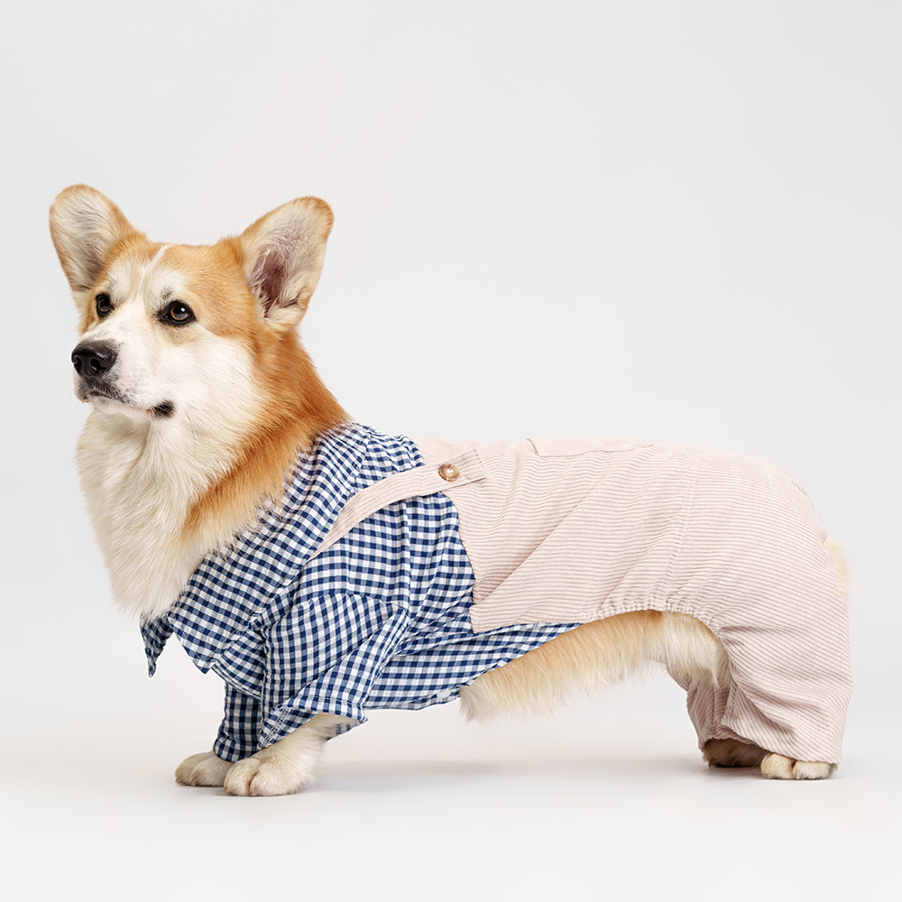 RURRI Костюм с рубашкой для собак, , бежевый 
RURRI Костюм с рубашкой для собак, , бежевый