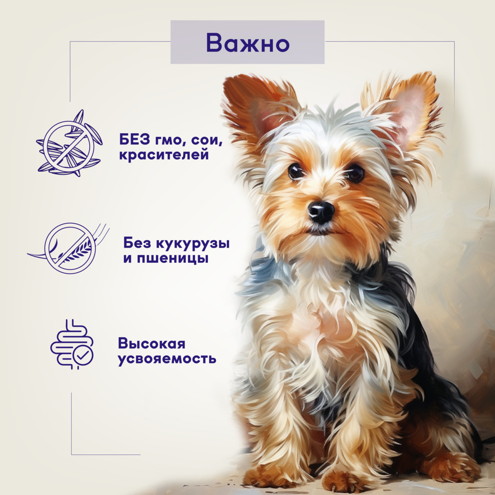 Buddy&Sol Care Сухой корм для взрослых собак мелких пород, с индейкой и ягненком, 3 кг
Buddy&Sol Care Сухой корм для взрослых собак мелких пород, с индейкой и ягненком, 3 кг