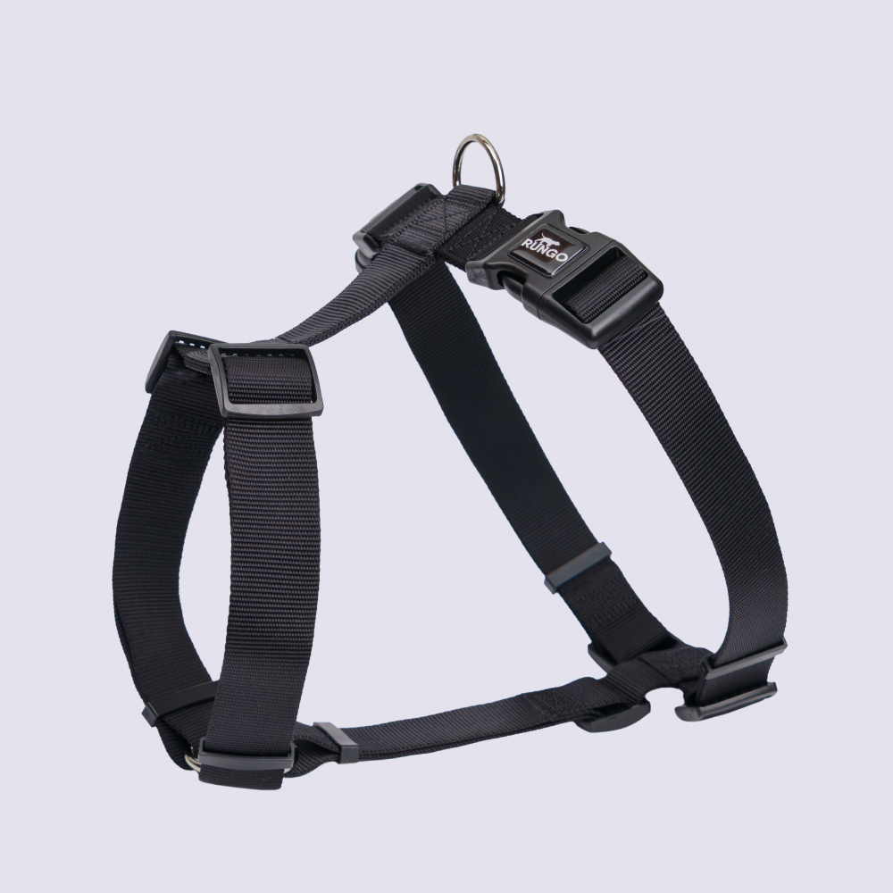 Rungo Шлейка для собак Vario, XL-XXL, обхват груди 85-130 см, ширина ремешка 3,8 см, черный
Rungo Шлейка для собак Vario, XL-XXL, обхват груди 85-130 см, ширина ремешка 3,8 см, черный