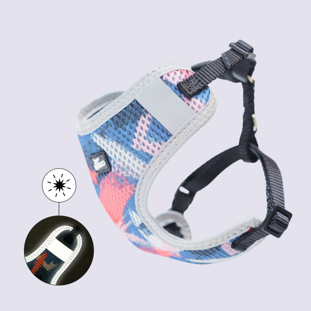 Rungo Шлейка для собак Comfort, , обхват груди 22-33 см, ширина ремешка 1,0 см, красный с голубым
Rungo Шлейка для собак Comfort, , обхват груди 22-33 см, ширина ремешка 1,0 см, красный с голубым