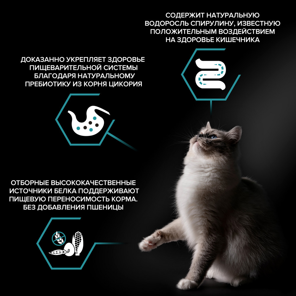 ProPlan Nature Elements Сухой корм для взрослых кошек с чувствительным пищеварением или особыми предпочтениями в еде, с индейкой, 400 гр.
ProPlan Nature Elements Сухой корм для взрослых кошек с чувствительным пищеварением или особыми предпочтениями в еде, с индейкой, 400 гр.