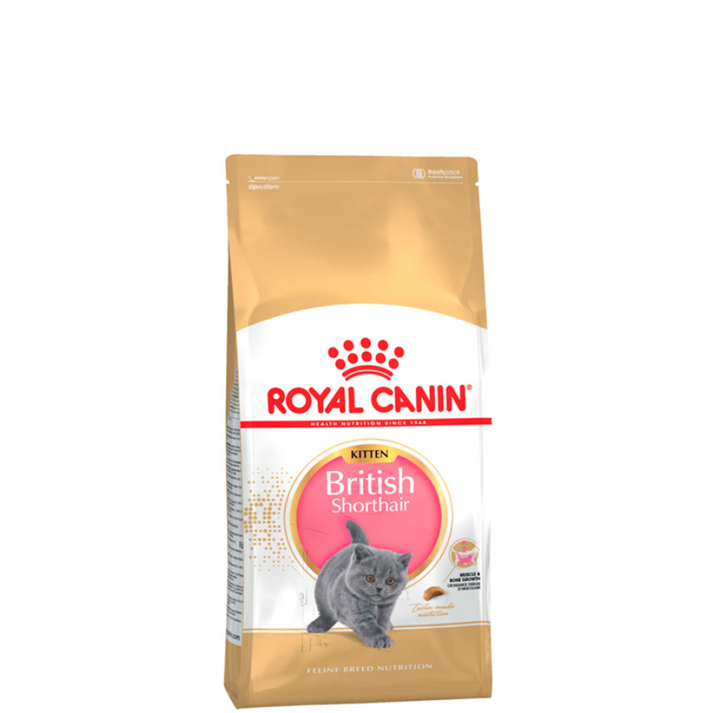 Royal Canin British Shorthair Kitten Сухой корм для британских короткошерстных котят в возрасте до 12 месяцев, 400 гр.
Royal Canin British Shorthair Kitten Сухой корм для британских короткошерстных котят в возрасте до 12 месяцев, 400 гр.