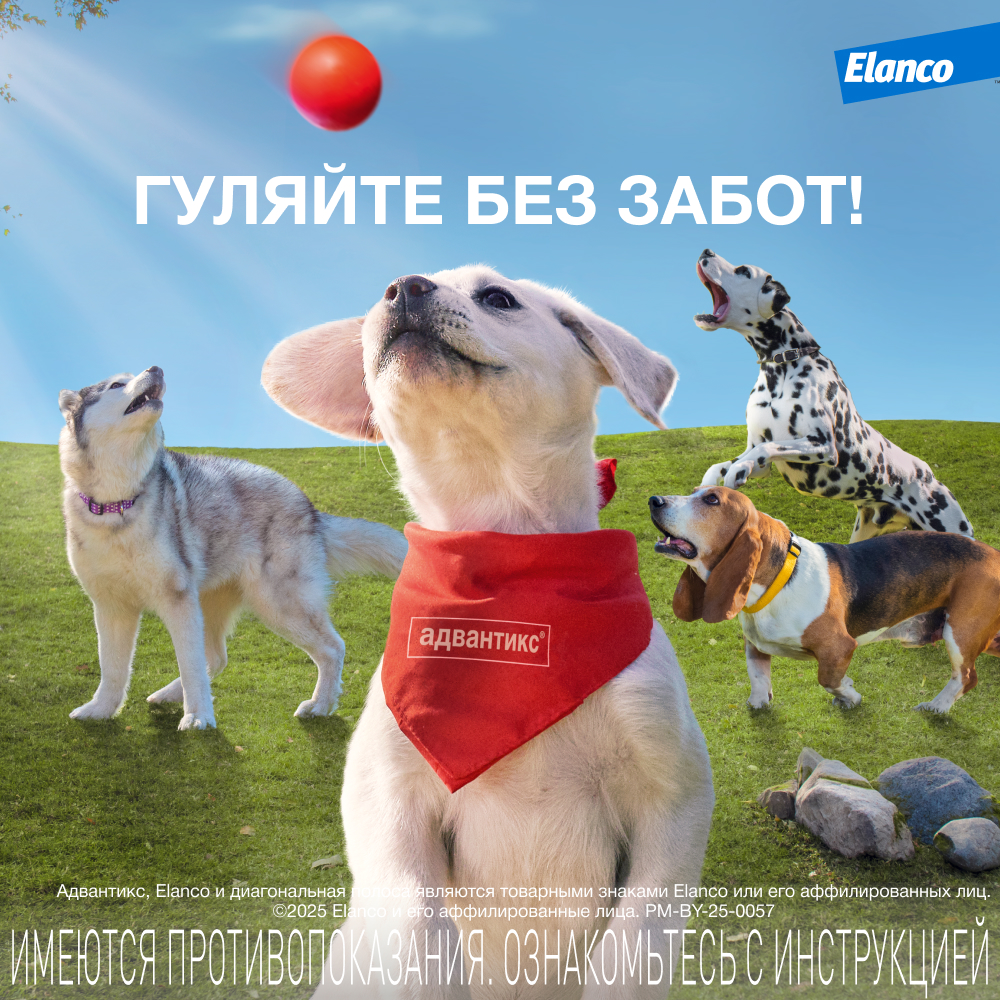 Elanco Адвантикс капли на холку для собак весом более 25 кг от блох, клещей и комаров, 1 пипетка, 4 мл
Elanco Адвантикс капли на холку для собак весом более 25 кг от блох, клещей и комаров, 1 пипетка, 4 мл