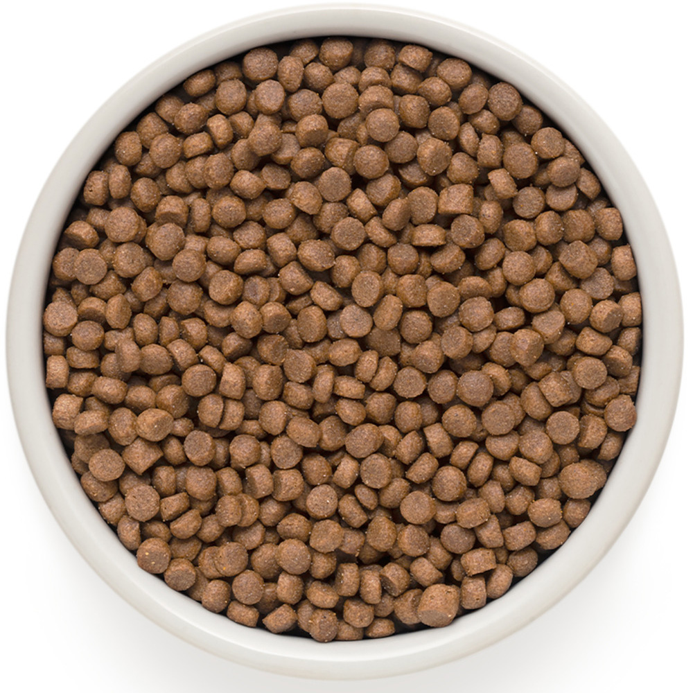 Grandorf Holistic Adult Sterilised Сухой корм для взрослых стерилизованных кошек, четыре вида мяса, 2 кг
Grandorf Holistic Adult Sterilised Сухой корм для взрослых стерилизованных кошек, четыре вида мяса, 2 кг