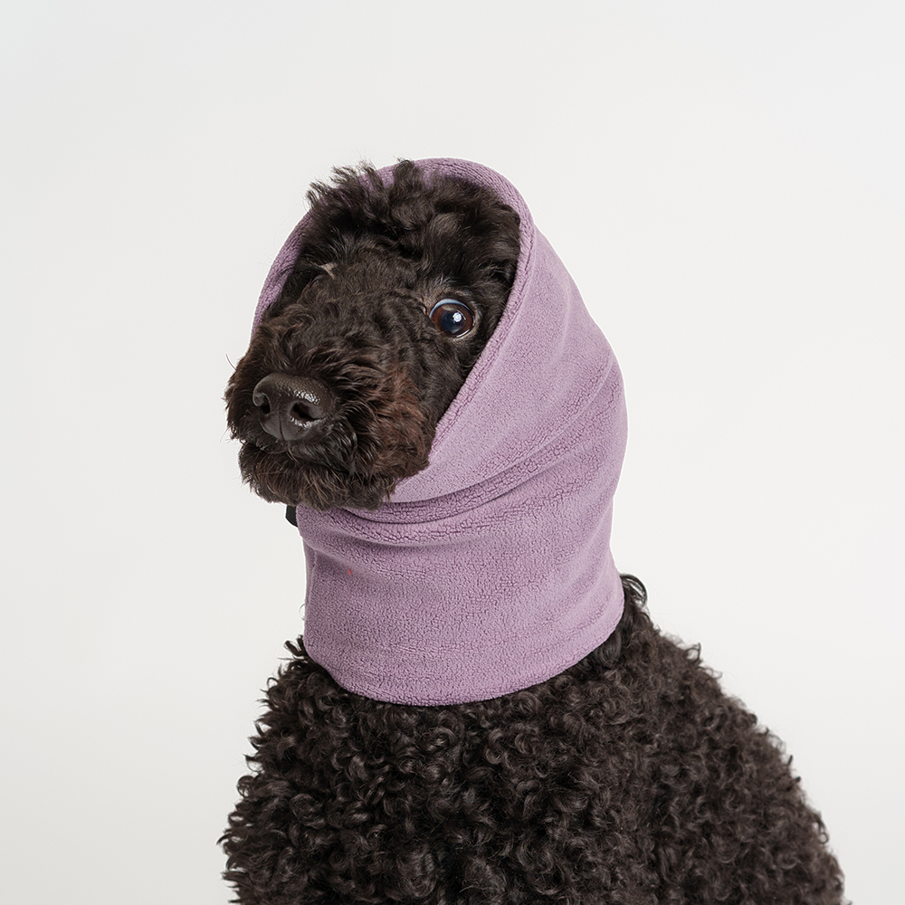 RURRI Снуд для собак, , фиолетовый
RURRI Снуд для собак, , фиолетовый