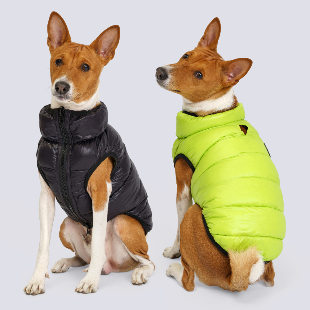 RURRI Куртка для собак, , черно-салатовый, Черный 
RURRI Куртка для собак, , черно-салатовый, Черный