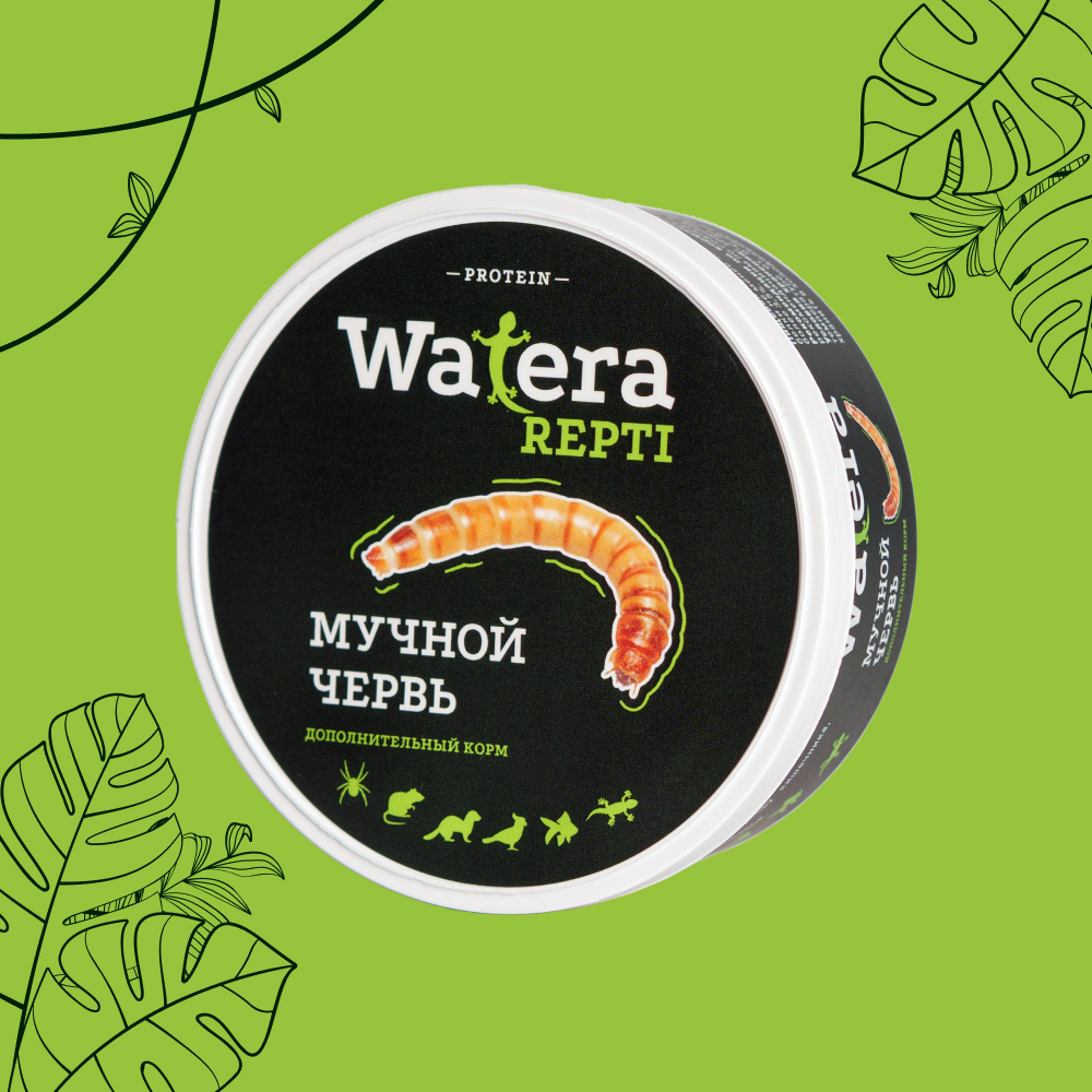 WATERA Мучной червь консервированный для рептилий, грызунов, птиц и рыб, 40 гр.
WATERA Мучной червь консервированный для рептилий, грызунов, птиц и рыб, 40 гр.