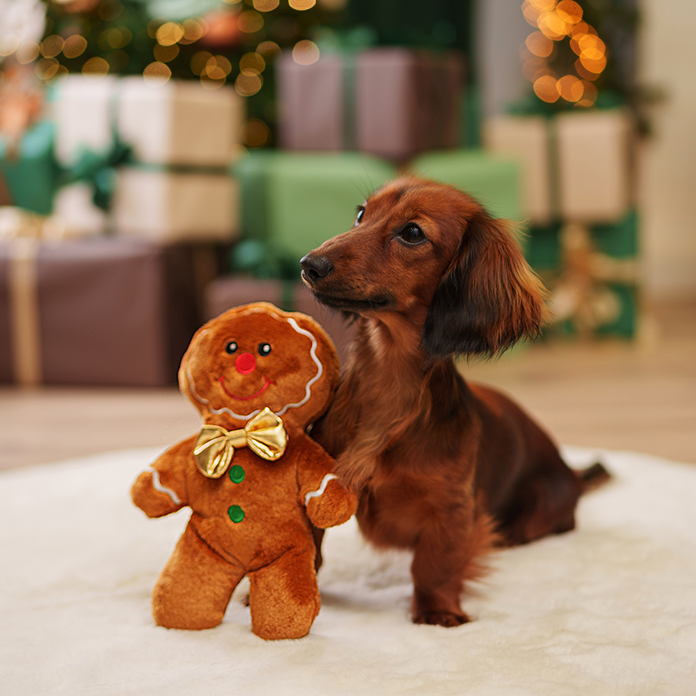 RURRI Игрушка для собак New Year Пряничка, 24х17х5 см, Разноцветный
RURRI Игрушка для собак New Year Пряничка, 24х17х5 см, Разноцветный