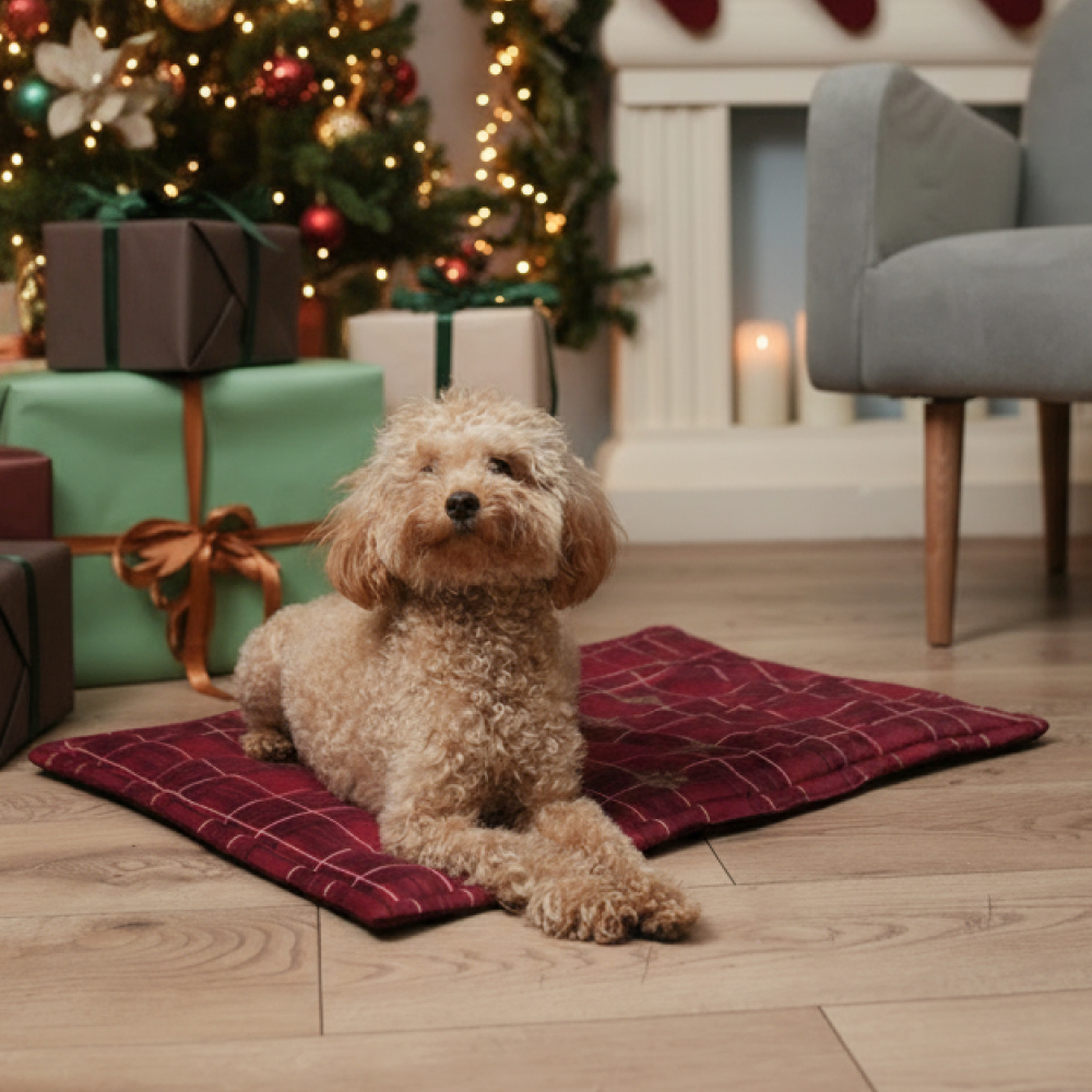 RURRI Матрас для кошек и собак мелких и средних пород Новый год, 64х45х1 см, Красный
RURRI Матрас для кошек и собак мелких и средних пород Новый год, 64х45х1 см, Красный