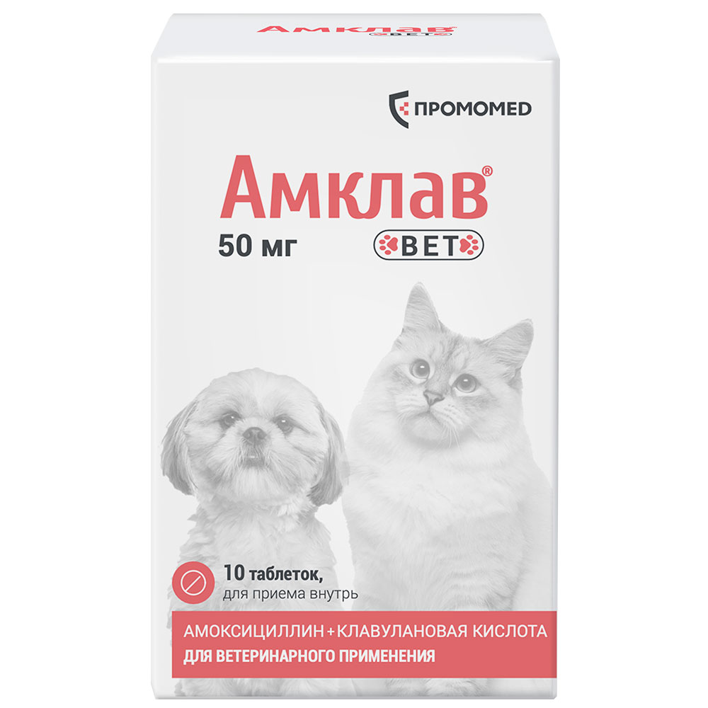 ПРОМОМЕД Амклав Вет Антибактериальный препарат для кошек и собак 50 мг, 10 таблеток (по рецепту)
ПРОМОМЕД Амклав Вет Антибактериальный препарат для кошек и собак 50 мг, 10 таблеток (по рецепту)