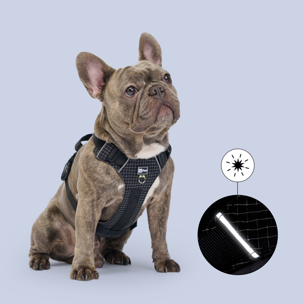 HiPet Шлейка для собак Ultralight, , обхват шеи 50-82 см, обхват груди 70-100 см, черный
HiPet Шлейка для собак Ultralight, , обхват шеи 50-82 см, обхват груди 70-100 см, черный