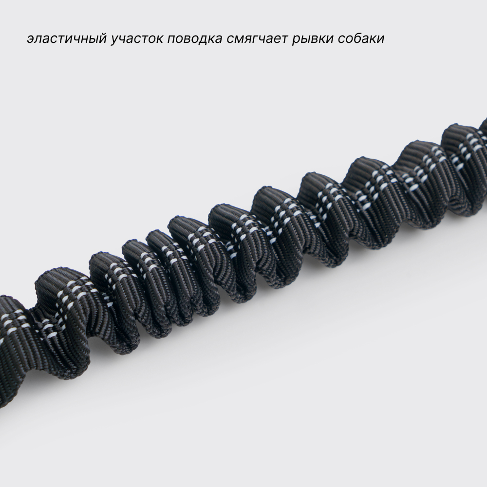 Rungo Поводок для пробежки с собакой, длина , черно-зеленый, Черный
Rungo Поводок для пробежки с собакой, длина , черно-зеленый, Черный