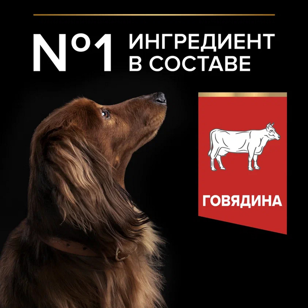PRO PLAN® Duo Delice Сухой корм с двойной текстурой гранул для взрослых собак мелких и карликовых пород, с высоким содержанием говядины, 2,5 кг
PRO PLAN® Duo Delice Сухой корм с двойной текстурой гранул для взрослых собак мелких и карликовых пород, с высоким содержанием говядины, 2,5 кг