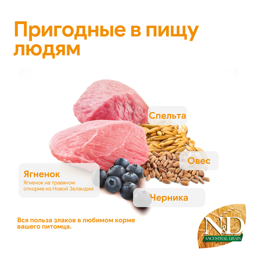 Farmina ND Ancestral Grain Сухой корм для взрослых котов и кошек, ягненок, спельта, овес и черника, 1,5 кг
Farmina ND Ancestral Grain Сухой корм для взрослых котов и кошек, ягненок, спельта, овес и черника, 1,5 кг