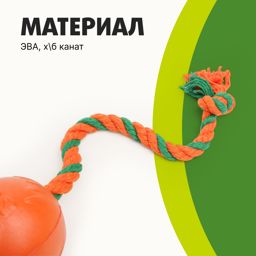 Pet hobby Игрушка для собак Мяч с канатом, диаметр, Оранжевый
Pet hobby Игрушка для собак Мяч с канатом, диаметр, Оранжевый