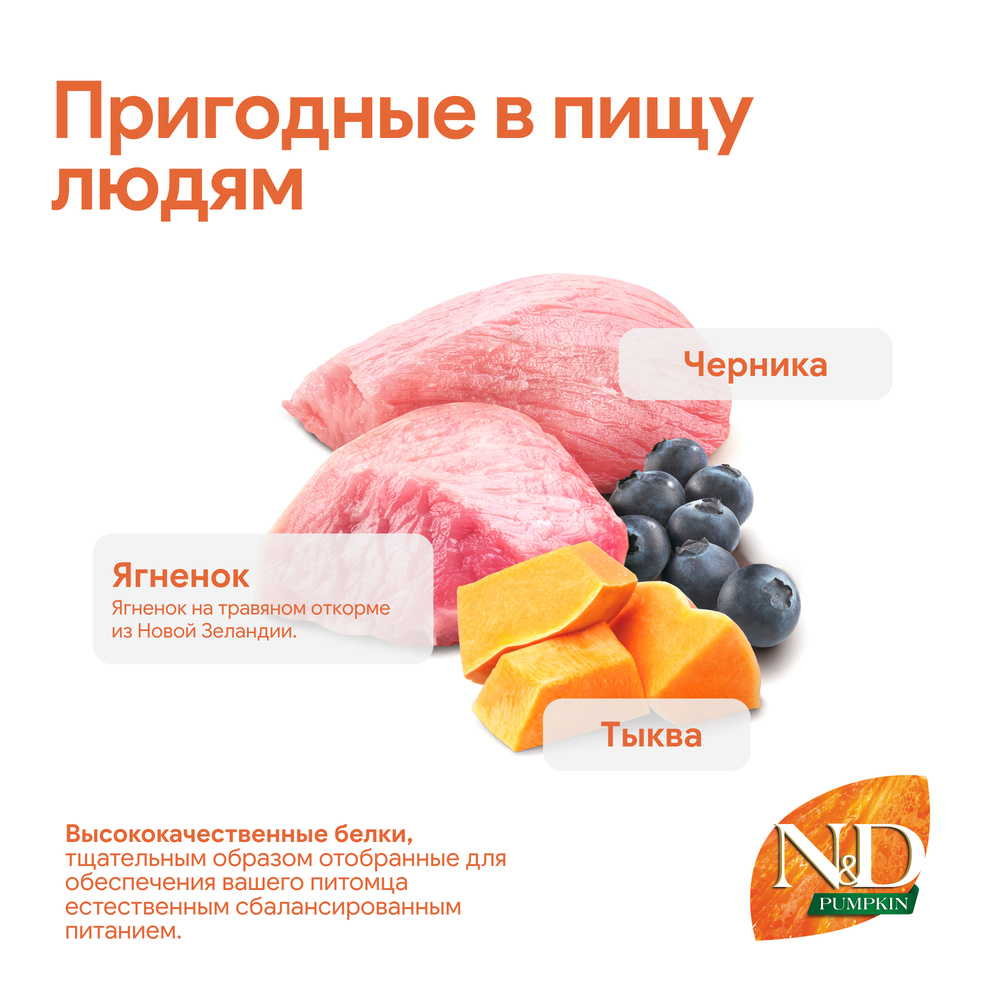 Farmina ND Pumpkin Сухой корм для собак средних и крупных пород, с ягненком, тыквой и черникой, 12 кг
Farmina ND Pumpkin Сухой корм для собак средних и крупных пород, с ягненком, тыквой и черникой, 12 кг
