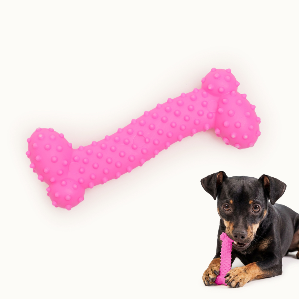 Pet hobby Игрушка для собак мелких пород Косточка с ароматом говядины, 10,5 см, цвет в ассортименте, Разноцветный
Pet hobby Игрушка для собак мелких пород Косточка с ароматом говядины, 10,5 см, цвет в ассортименте, Разноцветный
