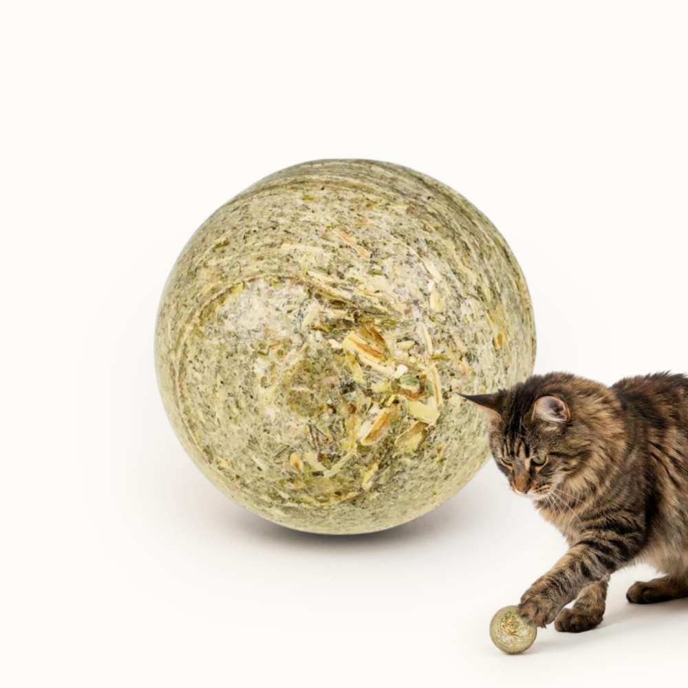 Pet hobby Игрушка с мятой для кошек Мячик Комфорт, Бежевый
Pet hobby Игрушка с мятой для кошек Мячик Комфорт, Бежевый