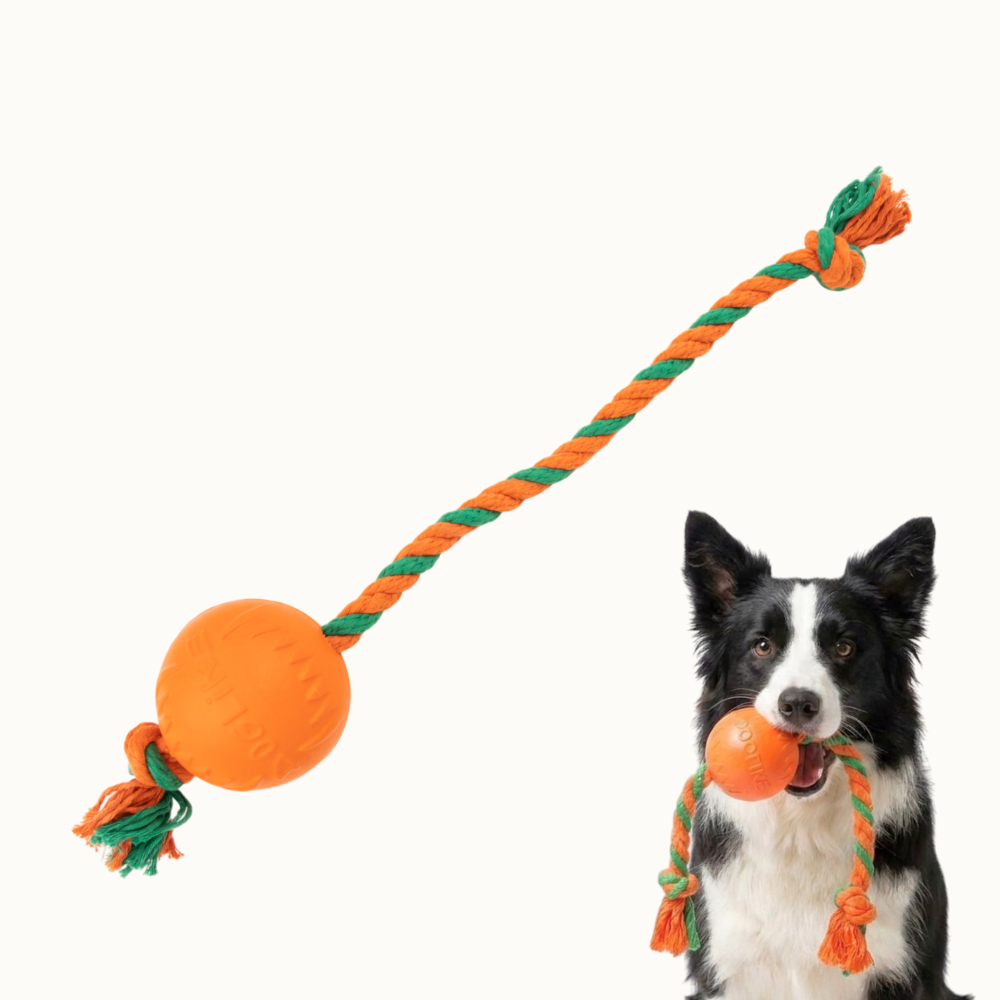 Pet hobby Игрушка для собак Мяч с канатом, Оранжевый
Pet hobby Игрушка для собак Мяч с канатом, Оранжевый