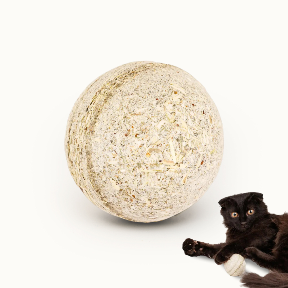 Pet hobby Игрушка с мятой для кошек Мячик Великан, 5 см, Разноцветный
Pet hobby Игрушка с мятой для кошек Мячик Великан, 5 см, Разноцветный