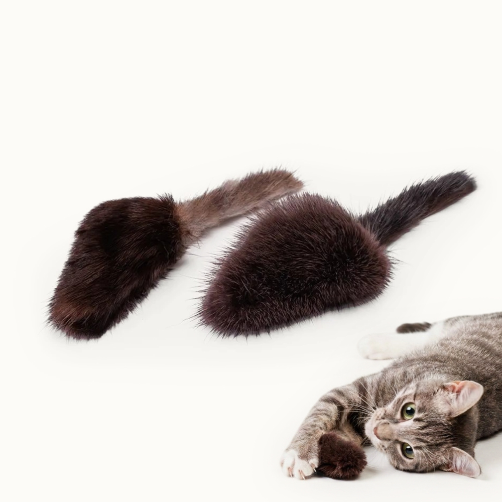 Pet hobby Набор игрушек из 2-х звенящих мышек-простушек для кошек, 12х3х2 см, Разноцветный
Pet hobby Набор игрушек из 2-х звенящих мышек-простушек для кошек, 12х3х2 см, Разноцветный