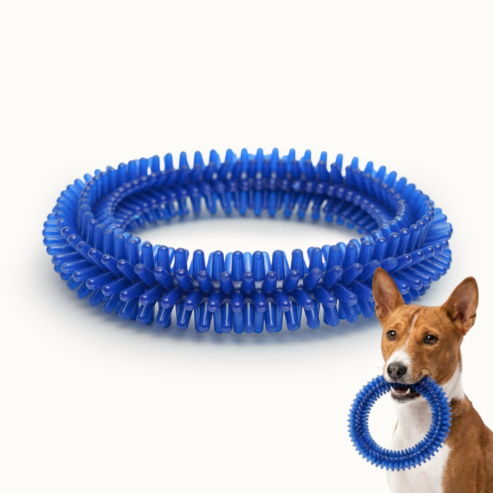Pet hobby Игрушка для собак Кольцо с шипами, ,, цвет в ассортименте, Разноцветный
Pet hobby Игрушка для собак Кольцо с шипами, ,, цвет в ассортименте, Разноцветный