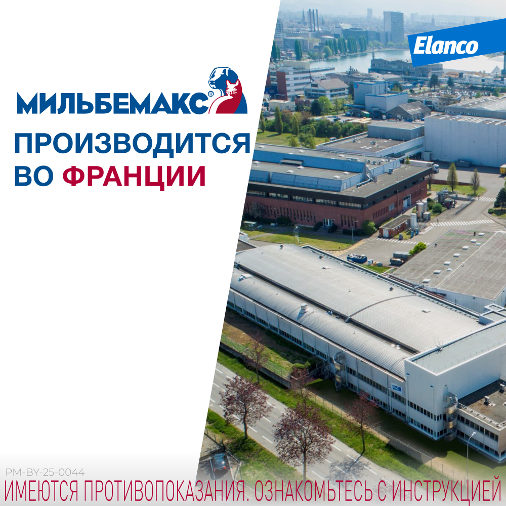 Elanco Мильбемакс Таблетки от гельминтов для щенков и собак мелких пород весом ,, 2 таблетки
Elanco Мильбемакс Таблетки от гельминтов для щенков и собак мелких пород весом ,, 2 таблетки