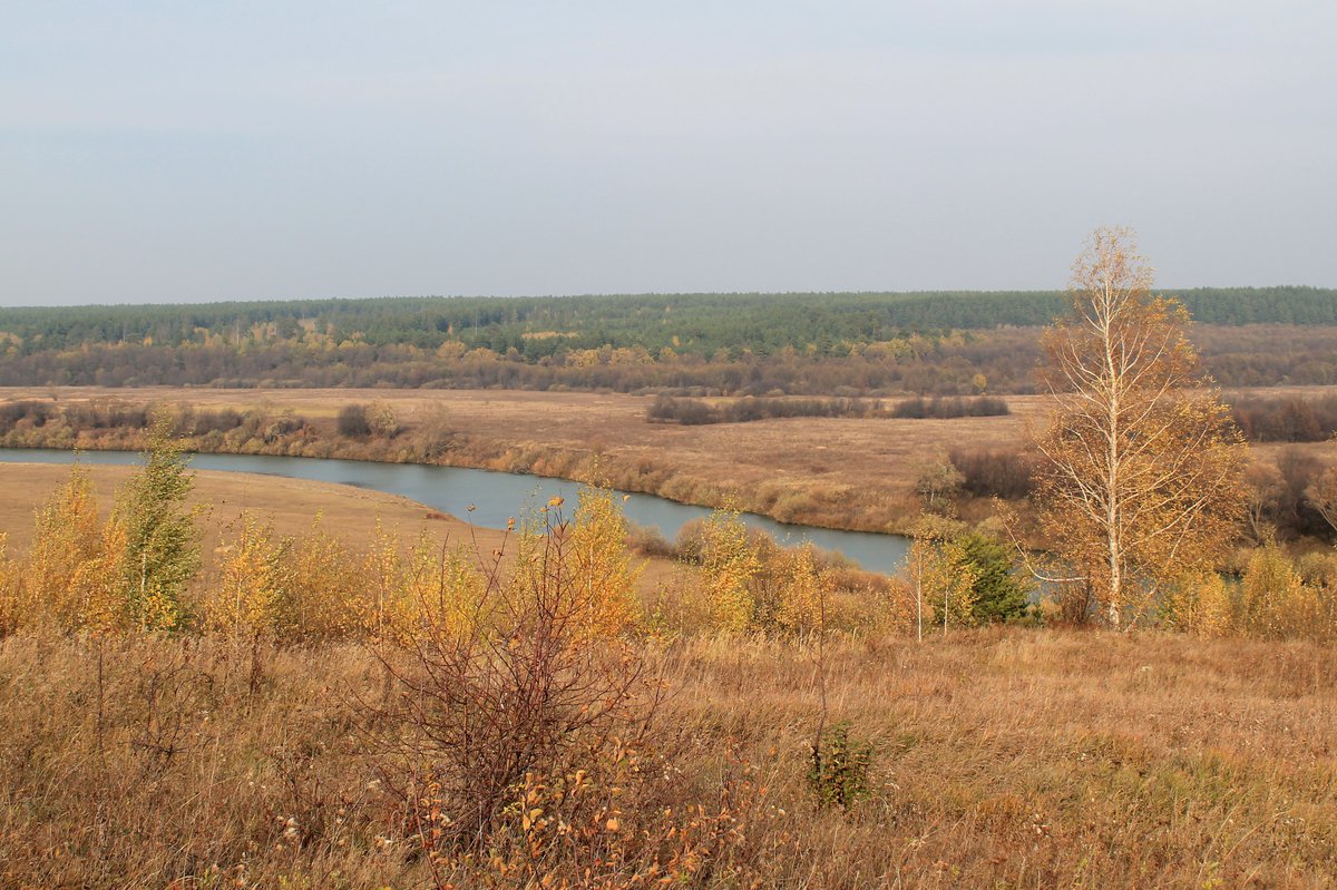 Река Мокша Суморьево