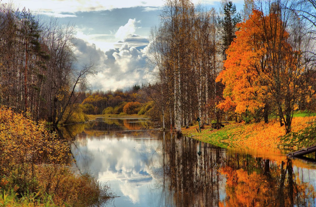 Октябрь природа Петрозаводск