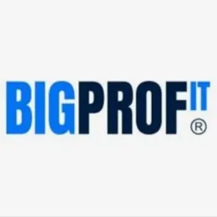 Логотип BIG PROFIT