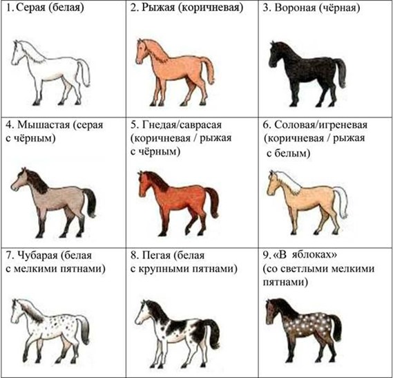 Иллюстрация к заданию, рис.2