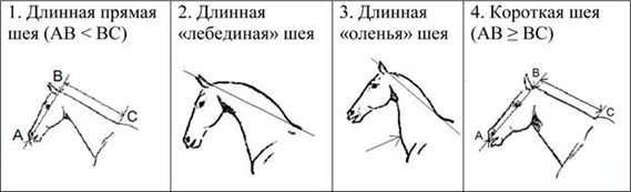 Иллюстрация к заданию, рис.3