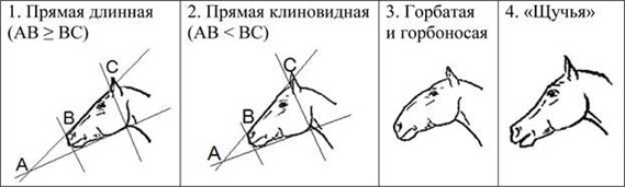 Иллюстрация к заданию, рис.4