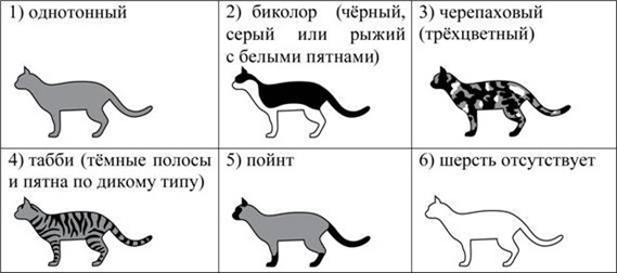 Иллюстрация к заданию, рис.2